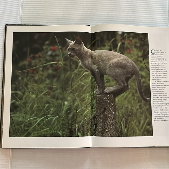 CATS By Tom Howard 1992 Coffee Table Picture Book 14” x 10” - Picture 4 of 6